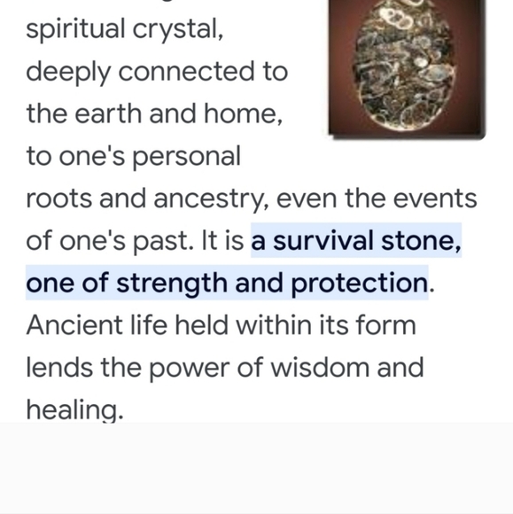 Large Turritella pendant - Picture 9 of 10